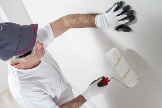 Professional Mold Removal in Forest Park, IL